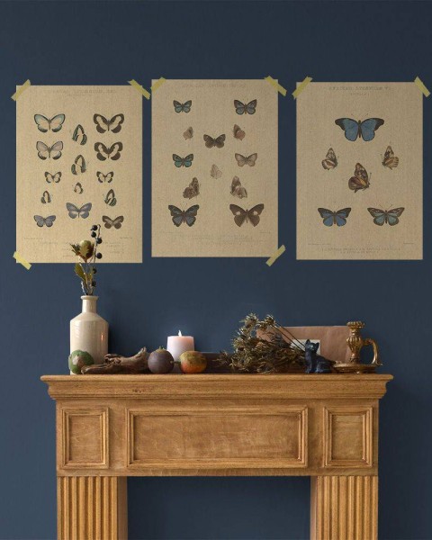 Flax Art Poster | Encyclopedia Butterfly A | FWP-AP-EN2A